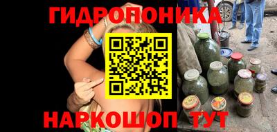 гидропоника Дубна