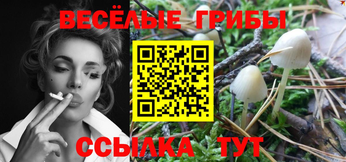 Псилоцибиновые грибы мицелий  Вход с VPN  Нефтеюганск 